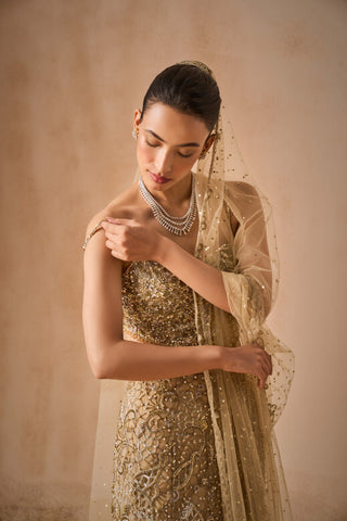 Beige gold sparkle tulle fit and flare lehenga set