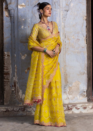 Nitika Gujral-Yellow Embroidered Organza Sari Set-INDIASPOPUP.COM