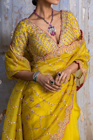Nitika Gujral-Yellow Embroidered Organza Sari Set-INDIASPOPUP.COM