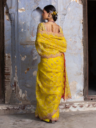 Nitika Gujral-Yellow Embroidered Organza Sari Set-INDIASPOPUP.COM