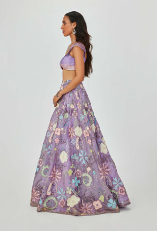 Aisha Rao-Darya Amethyst Embellished Lehenga Set-INDIASPOPUP.COM