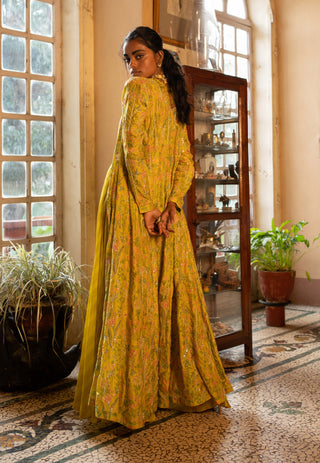 Paulmi & Harsh-Refreshing Yellow Tropical Jacket And Palazzo Set-INDIASPOPUP.COM