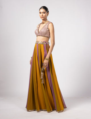 Green multicolor lehenga pants set