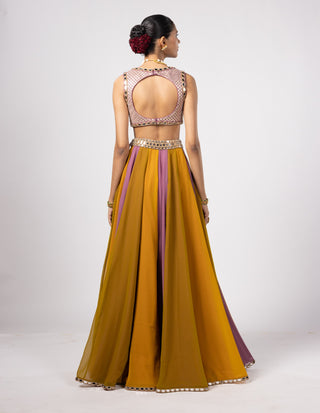 Green multicolor lehenga pants set