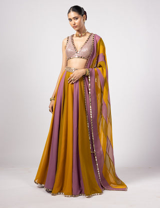 Green multicolor lehenga pants set