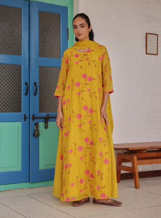 Canary bloom embroidered anarkali and dupatta