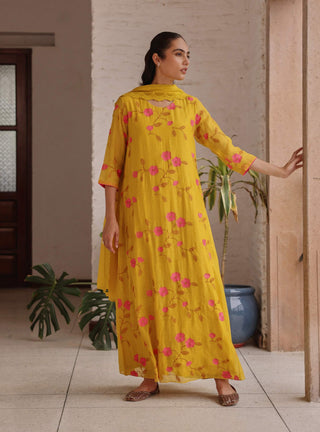 Canary bloom embroidered anarkali and dupatta