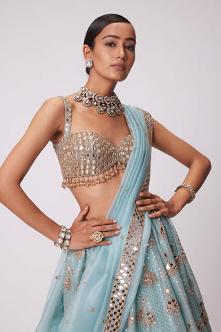Powder Blue Organza Sequin Embroidered Lehenga Set by Vvani By Vani Vats available on Indiaspopup.com