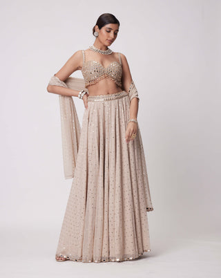 Light Beige Georgette Lehenga Pants Set by Vvani By Vani Vats available on Indiaspopup.com