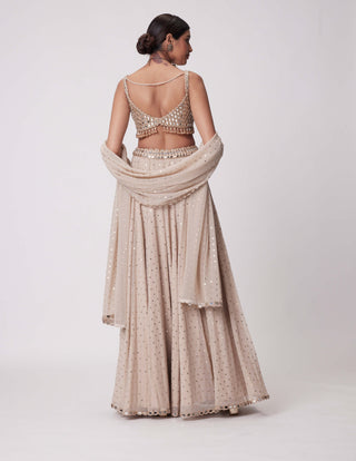 Light Beige Georgette Lehenga Pants Set by Vvani By Vani Vats available on Indiaspopup.com