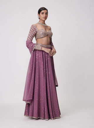 Mud Mauve Mirror Embroidered Lehenga Pants Set by Vvani By Vani Vats available on Indiaspopup.com