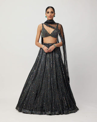 Black Crystal Linear Embroidered Lehenga Set by Vvani By Vani Vats available on Indiaspopup.com