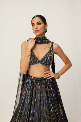 Black Crystal Linear Embroidered Lehenga Set by Vvani By Vani Vats available on Indiaspopup.com