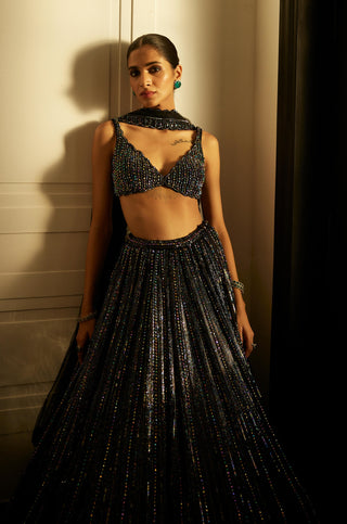 Black Crystal Linear Embroidered Lehenga Set by Vvani By Vani Vats available on Indiaspopup.com