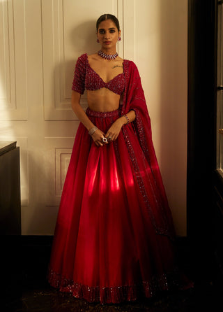 Ruby Red Organza Lehenga Set by Vvani By Vani Vats available on Indiaspopup.com