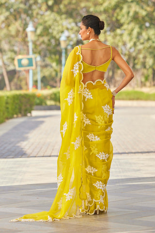 Vvani By Vani Vats-Moss Green Flower Sari And Blouse-INDIASPOPUP.COM