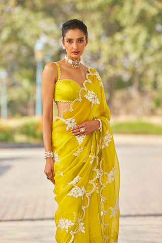 Vvani By Vani Vats-Moss Green Flower Sari And Blouse-INDIASPOPUP.COM