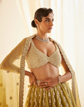 Vvani By Vani Vats-Fern Green Chandelier Pearl Drop Lehenga Set-INDIASPOPUP.COM