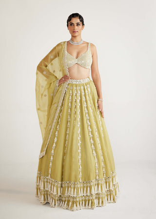 Vvani By Vani Vats-Fern Green Chandelier Pearl Drop Lehenga Set-INDIASPOPUP.COM