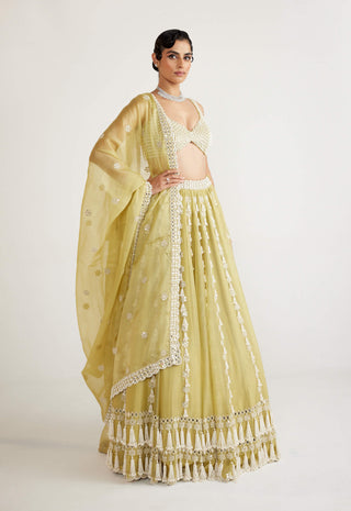 Vvani By Vani Vats-Fern Green Chandelier Pearl Drop Lehenga Set-INDIASPOPUP.COM