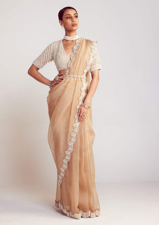 Vvani By Vani Vats-Beige Pearl Organza Sari And Blouse-INDIASPOPUP.COM