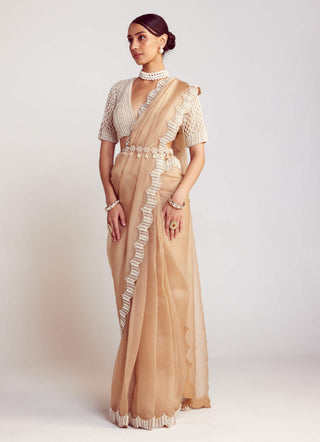 Vvani By Vani Vats-Beige Pearl Organza Sari And Blouse-INDIASPOPUP.COM
