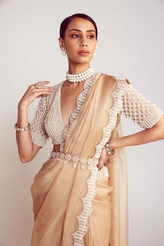 Vvani By Vani Vats-Beige Pearl Organza Sari And Blouse-INDIASPOPUP.COM