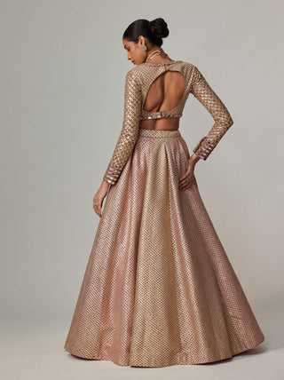 Deep beige multicolor lehenga set