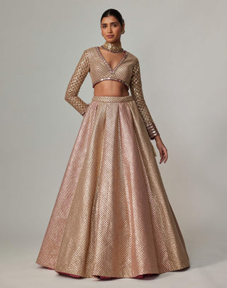 Deep beige multicolor lehenga set