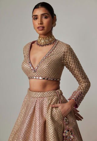 Deep beige multicolor lehenga set