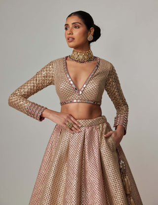 Deep beige multicolor lehenga set