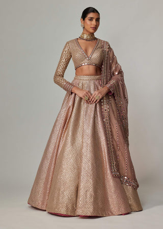 Deep beige multicolor lehenga set