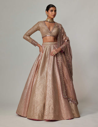 Deep beige multicolor lehenga set