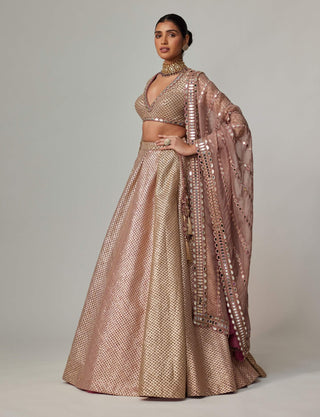 Deep beige multicolor lehenga set