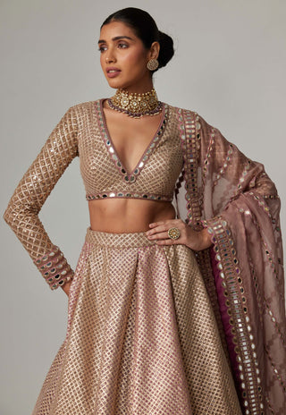 Deep beige multicolor lehenga set