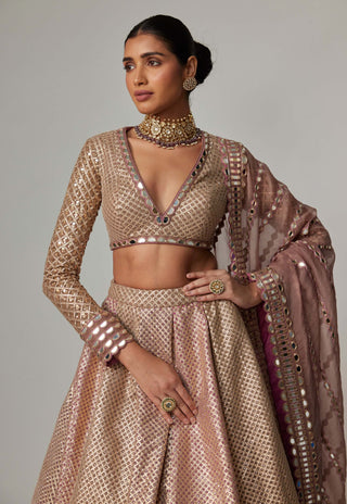 Deep beige multicolor lehenga set