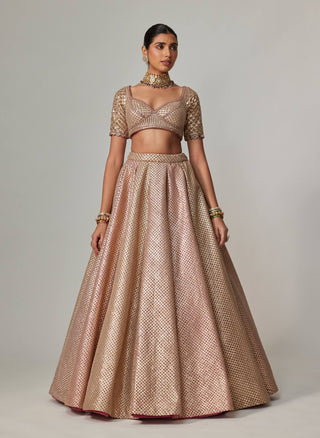 Deep beige multicolor metallic lehenga set