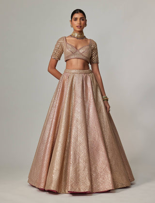 Deep beige multicolor metallic lehenga set