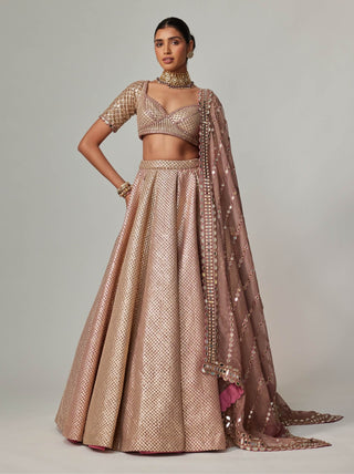 Deep beige multicolor metallic lehenga set