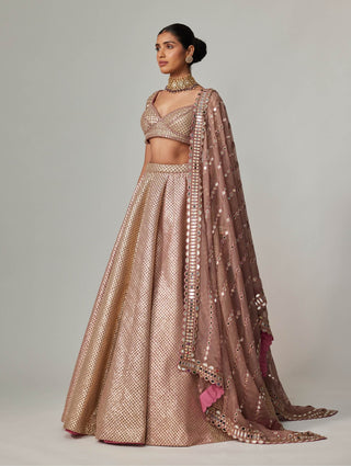 Deep beige multicolor metallic lehenga set