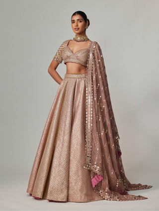 Deep beige multicolor metallic lehenga set