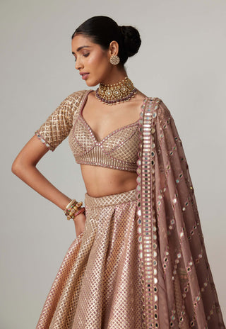 Deep beige multicolor metallic lehenga set