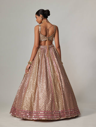 Deep beige multicolor metallic lehenga set