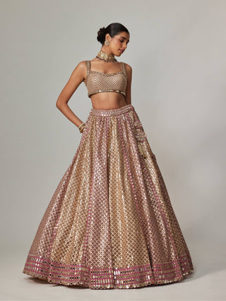 Deep beige multicolor metallic lehenga set