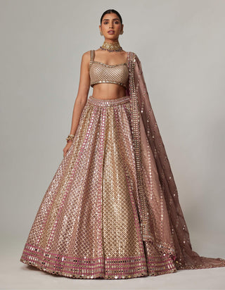 Deep beige multicolor metallic lehenga set