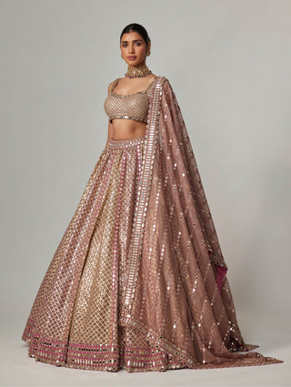 Deep beige multicolor metallic lehenga set