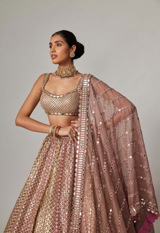 Deep beige multicolor metallic lehenga set