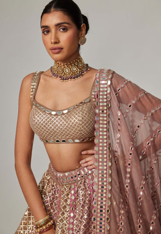 Deep beige multicolor metallic lehenga set