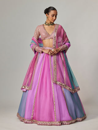 Mauve multicolor linear lehenga set