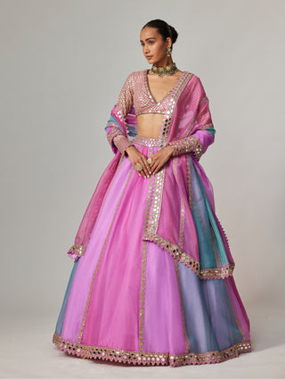 Mauve multicolor linear lehenga set